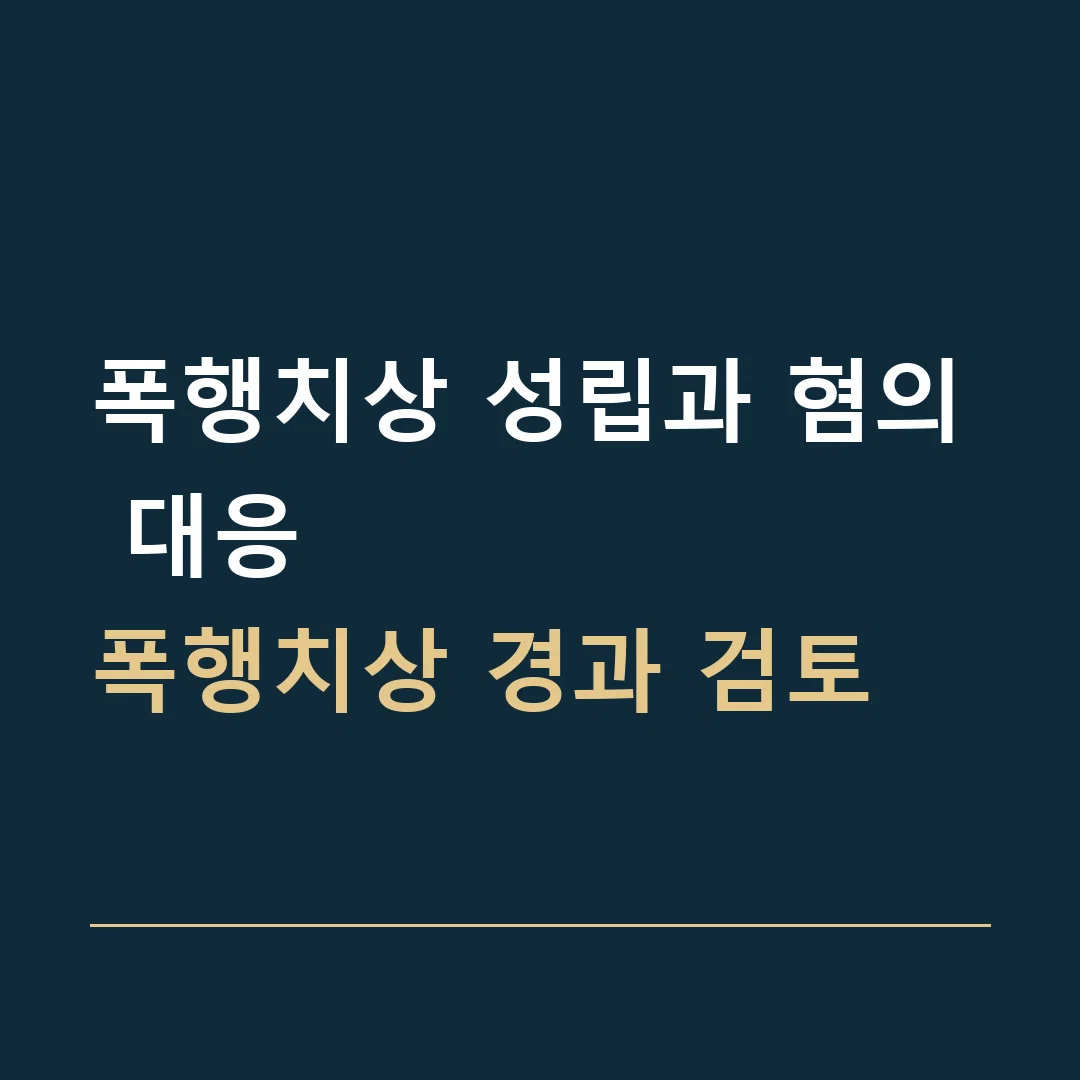 폭행치상 성립과 혐의 대응 · 폭행치상 경과 검토