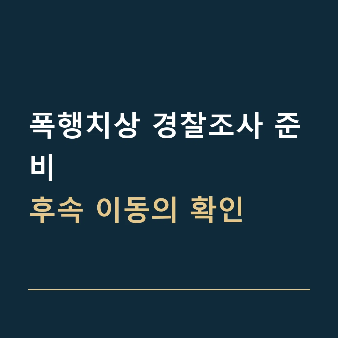 폭행치상 경찰조사 준비 · 후속 이동의 확인