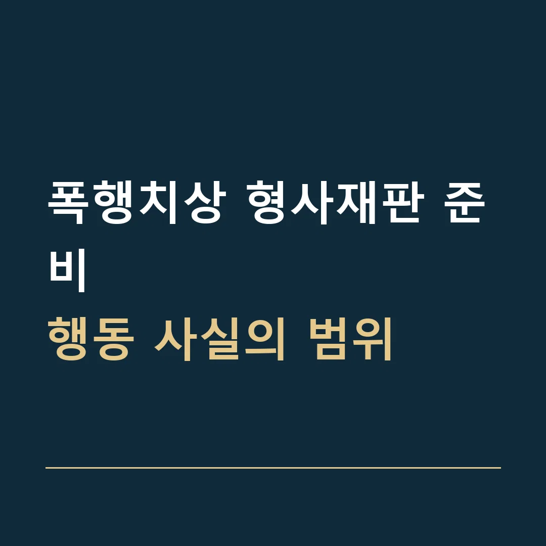 폭행치상 형사재판 준비 · 행동 사실의 범위
