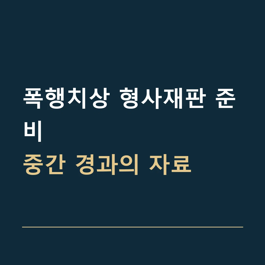 폭행치상 형사재판 준비 · 중간 경과의 자료