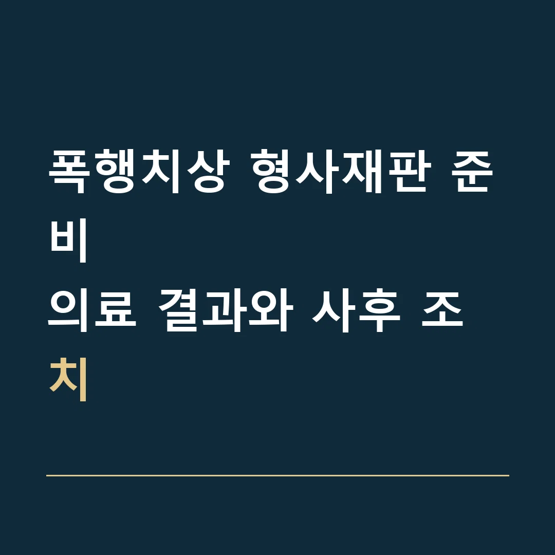 폭행치상 형사재판 준비 · 의료 결과와 사후 조치