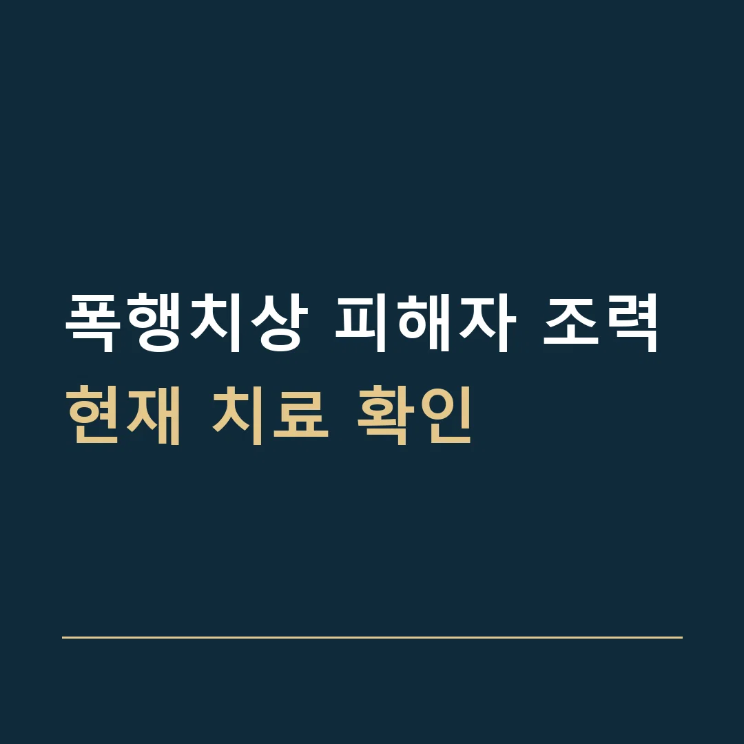 폭행치상 피해자 조력 · 현재 치료 확인