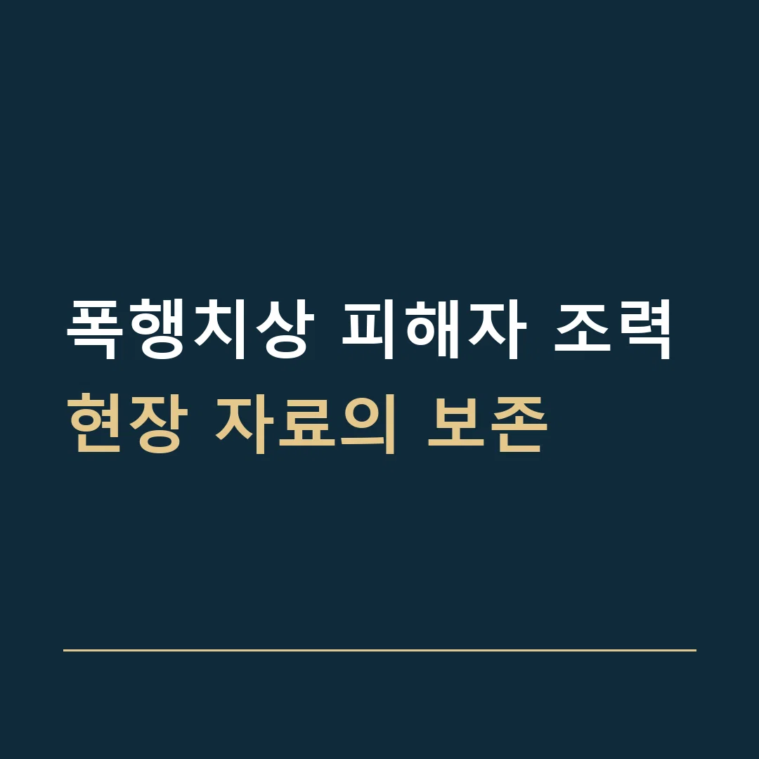 폭행치상 피해자 조력 · 현장 자료의 보존