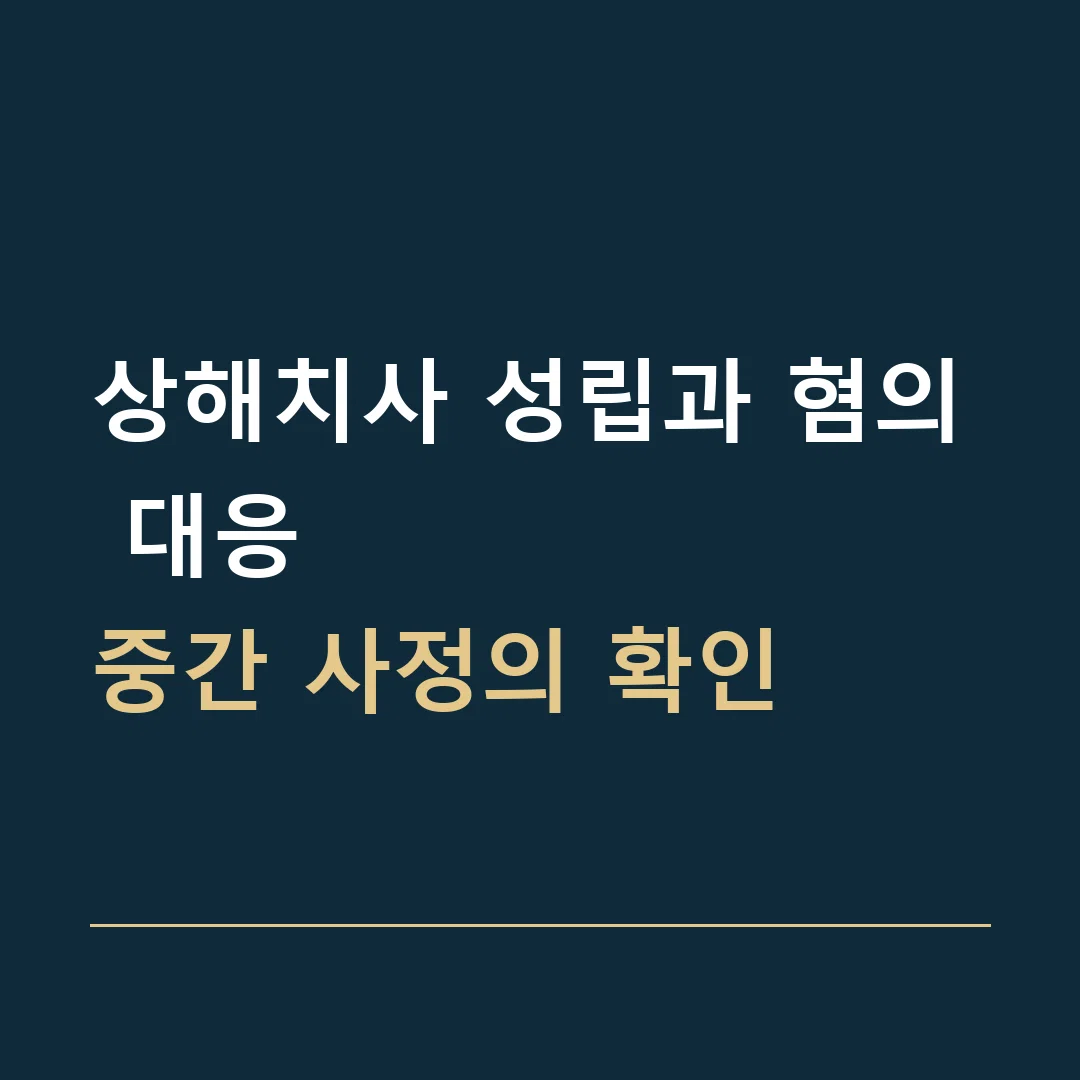 상해치사 성립과 혐의 대응 · 중간 사정의 확인