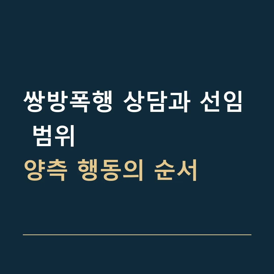 쌍방폭행 상담과 선임 범위 · 양측 행동의 순서