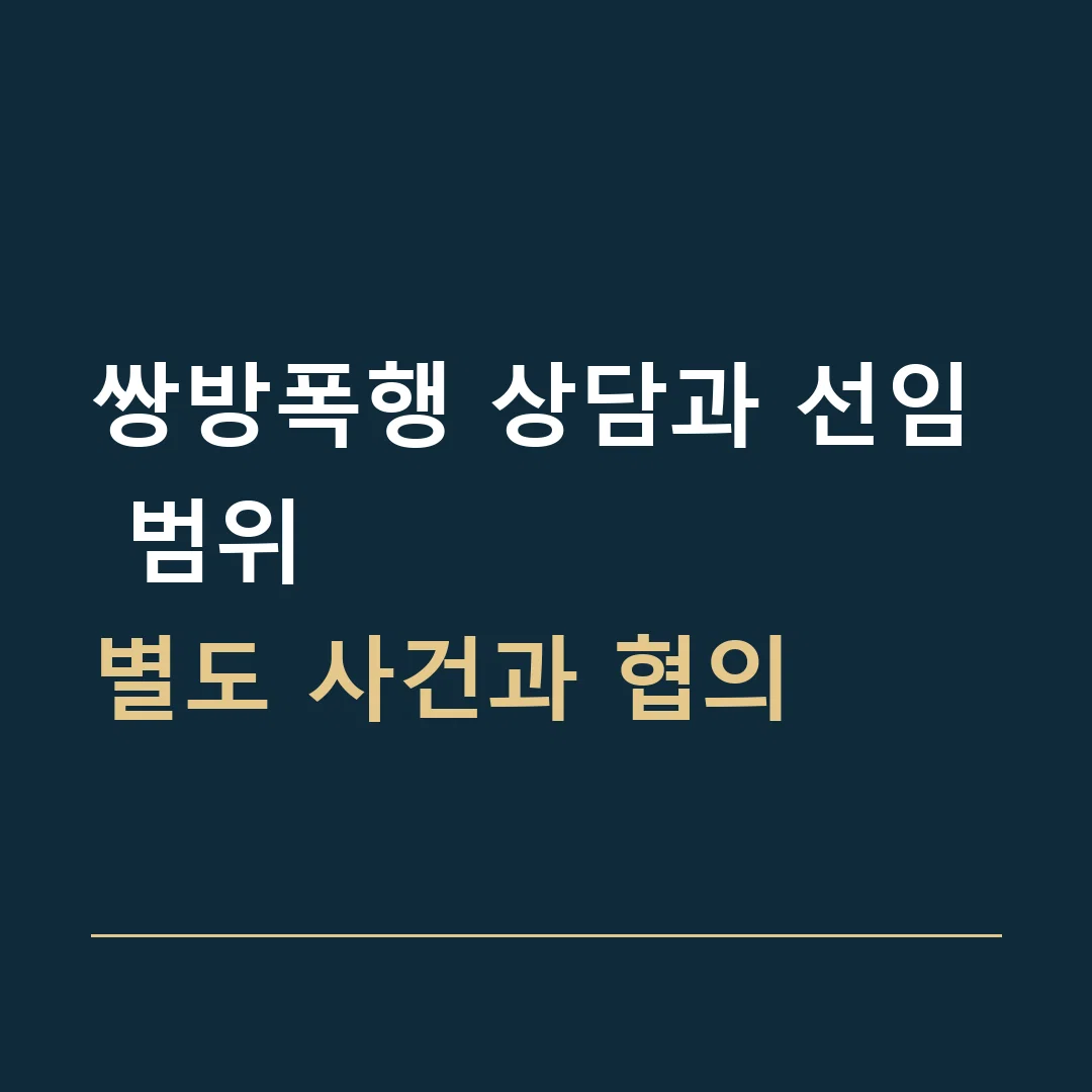 쌍방폭행 상담과 선임 범위 · 별도 사건과 협의