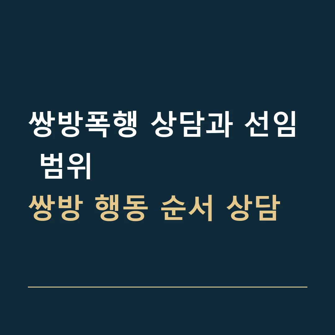 쌍방폭행 상담과 선임 범위 · 쌍방 행동 순서 상담