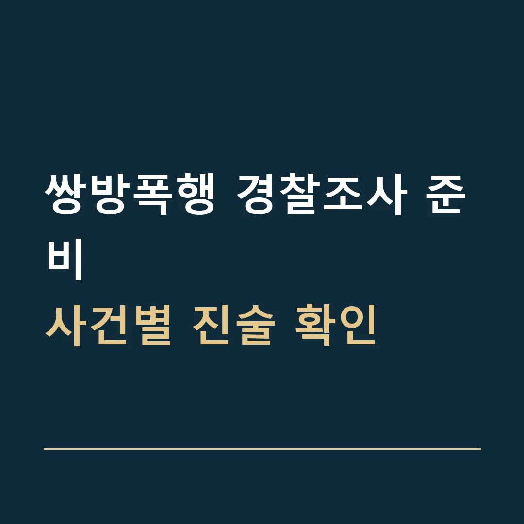 쌍방폭행 경찰조사 준비 · 사건별 진술 확인