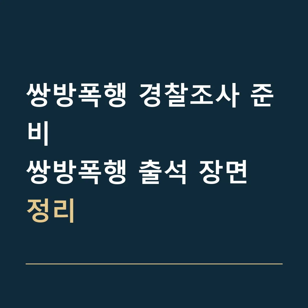 쌍방폭행 경찰조사 준비 · 쌍방폭행 출석 장면 정리