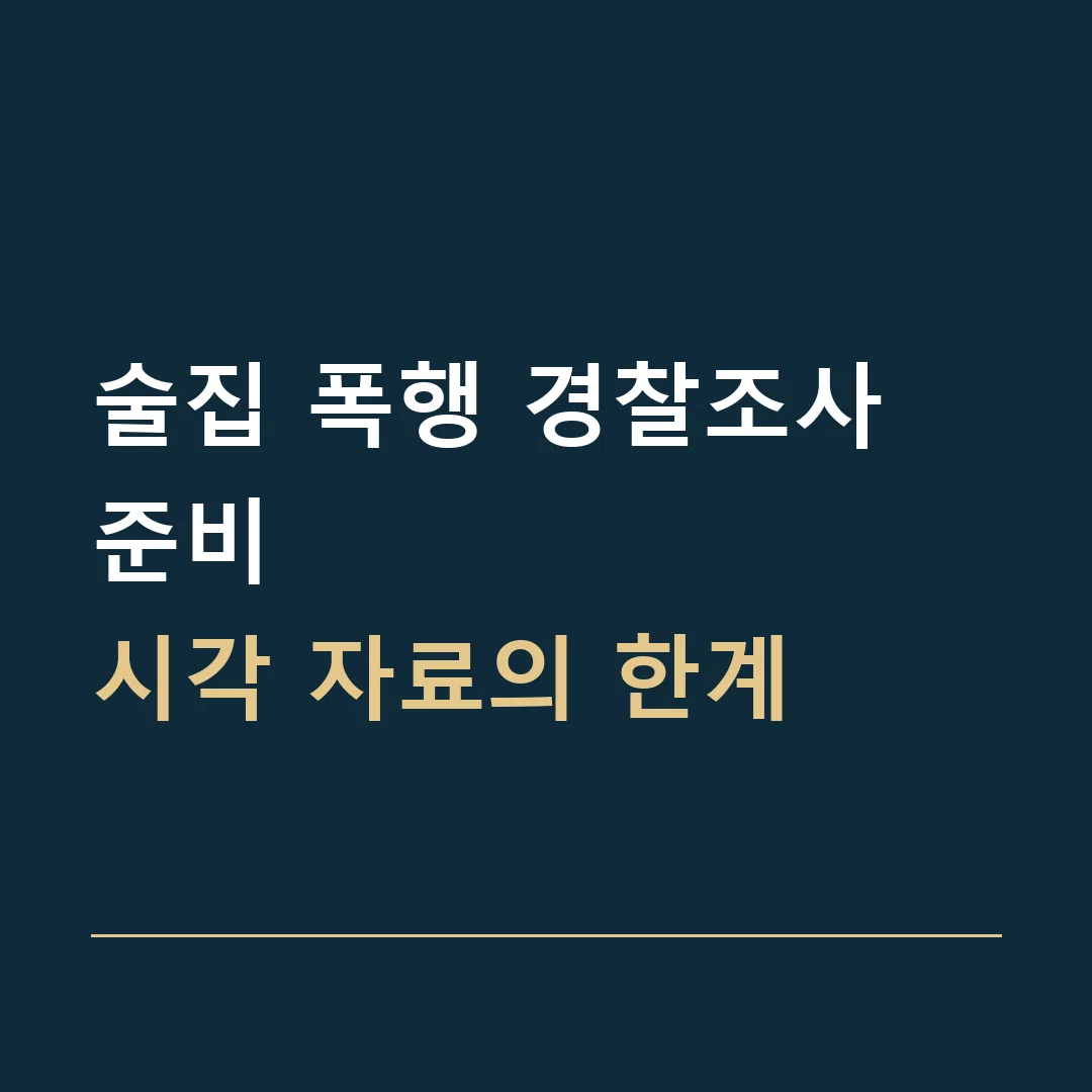 술집 폭행 경찰조사 준비 · 시각 자료의 한계