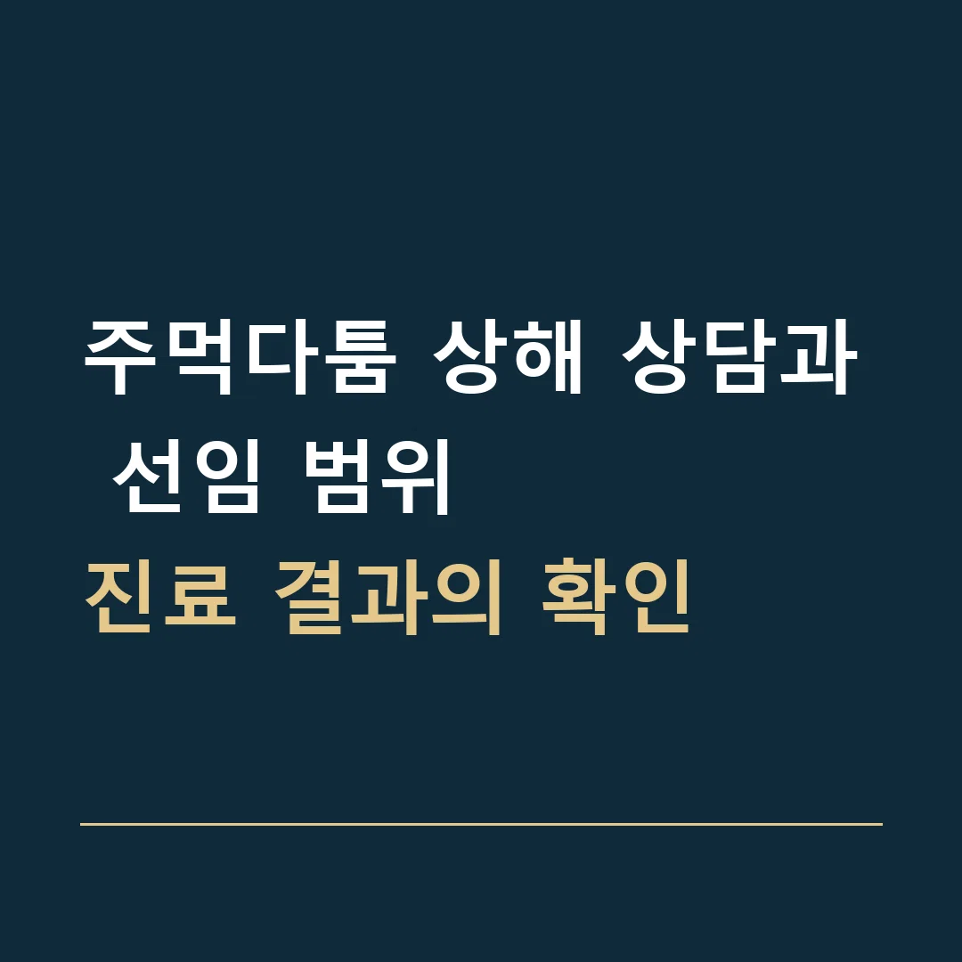 주먹다툼 상해 상담과 선임 범위 · 진료 결과의 확인