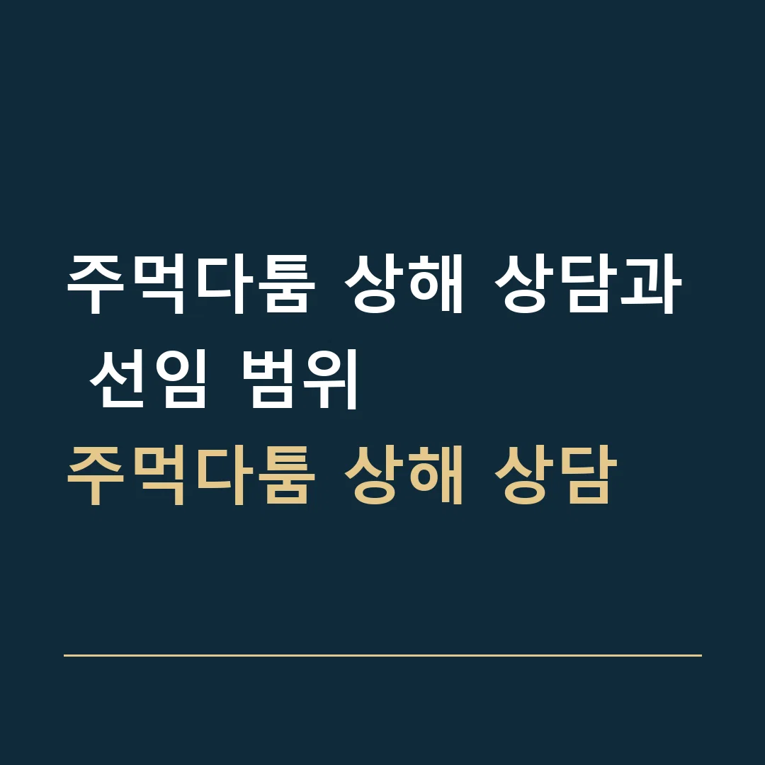 주먹다툼 상해 상담과 선임 범위 · 주먹다툼 상해 상담
