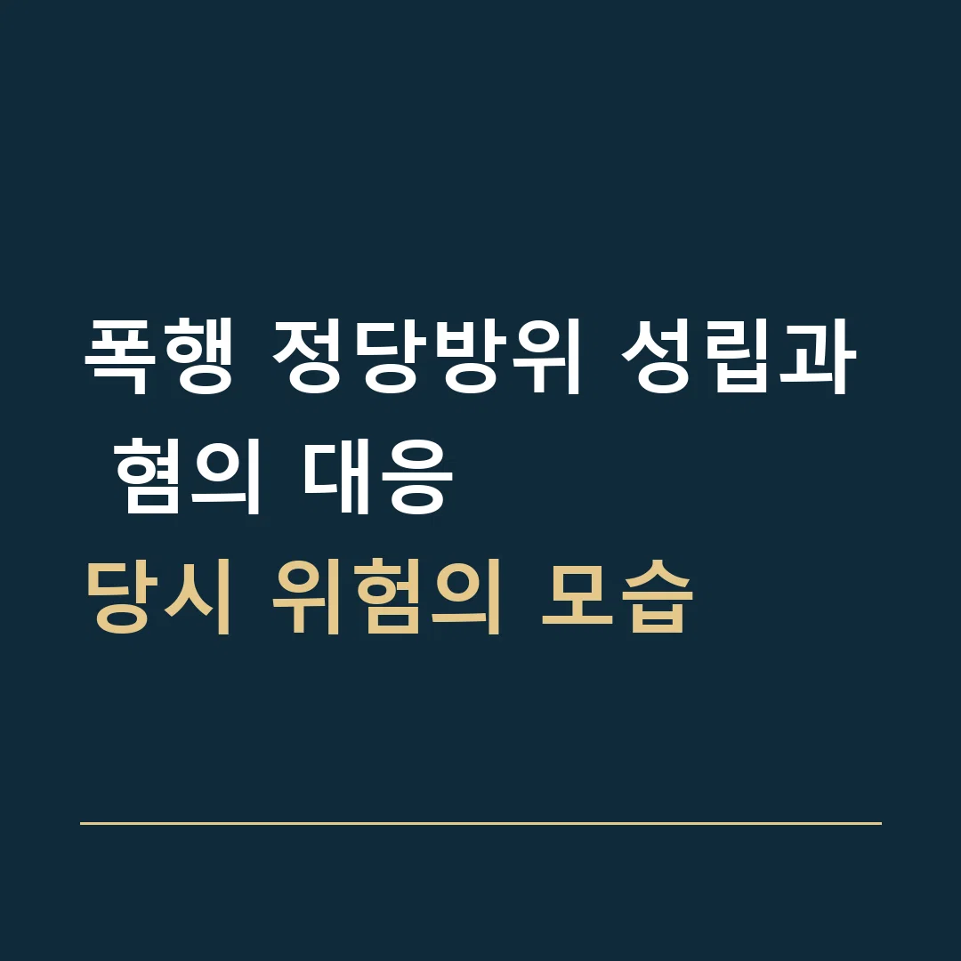 폭행 정당방위 성립과 혐의 대응 · 당시 위험의 모습
