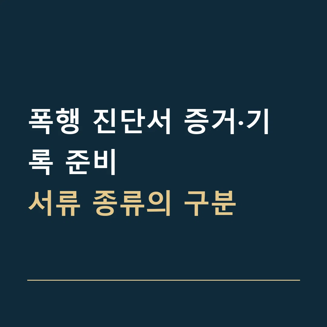 폭행 진단서 증거·기록 준비 · 서류 종류의 구분
