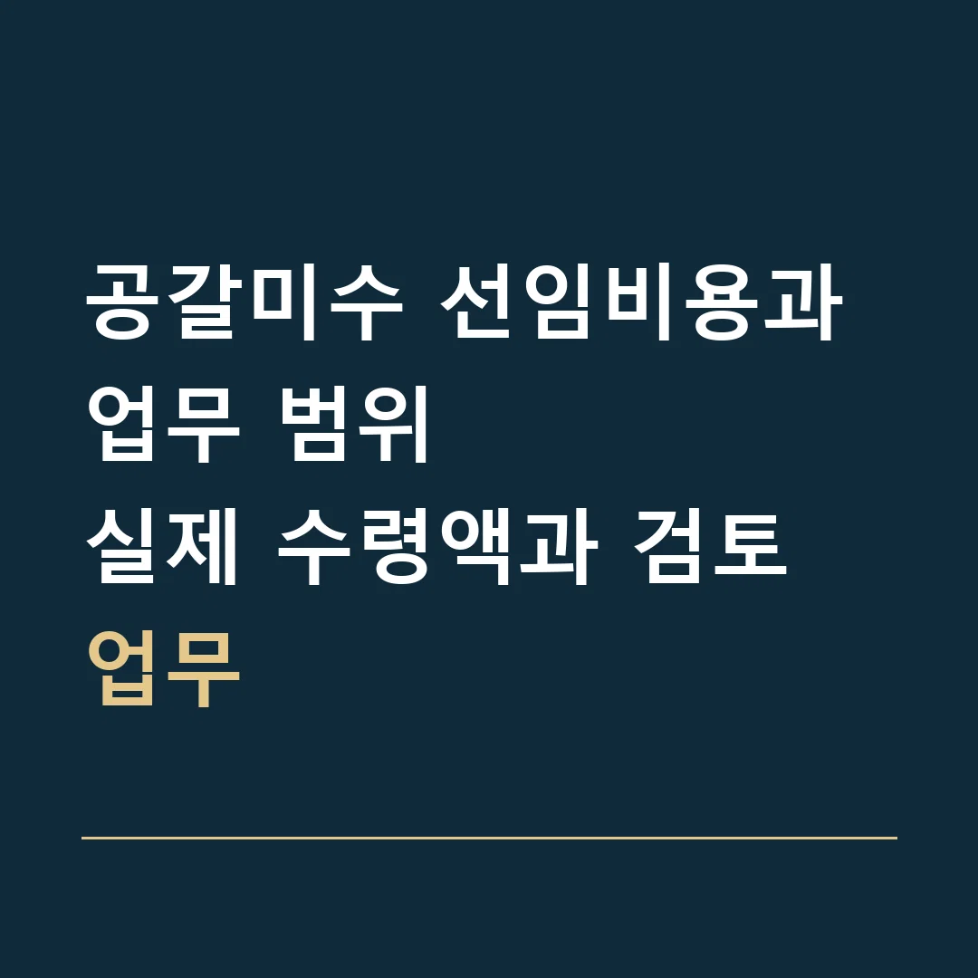 공갈미수 선임비용과 업무 범위 · 실제 수령액과 검토 업무