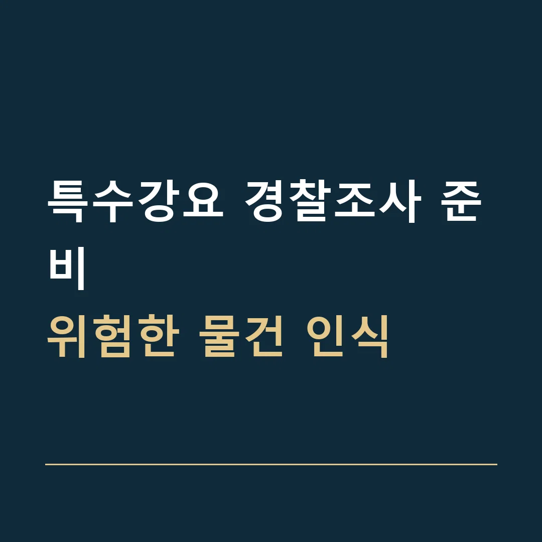 특수강요 경찰조사 준비 · 위험한 물건 인식