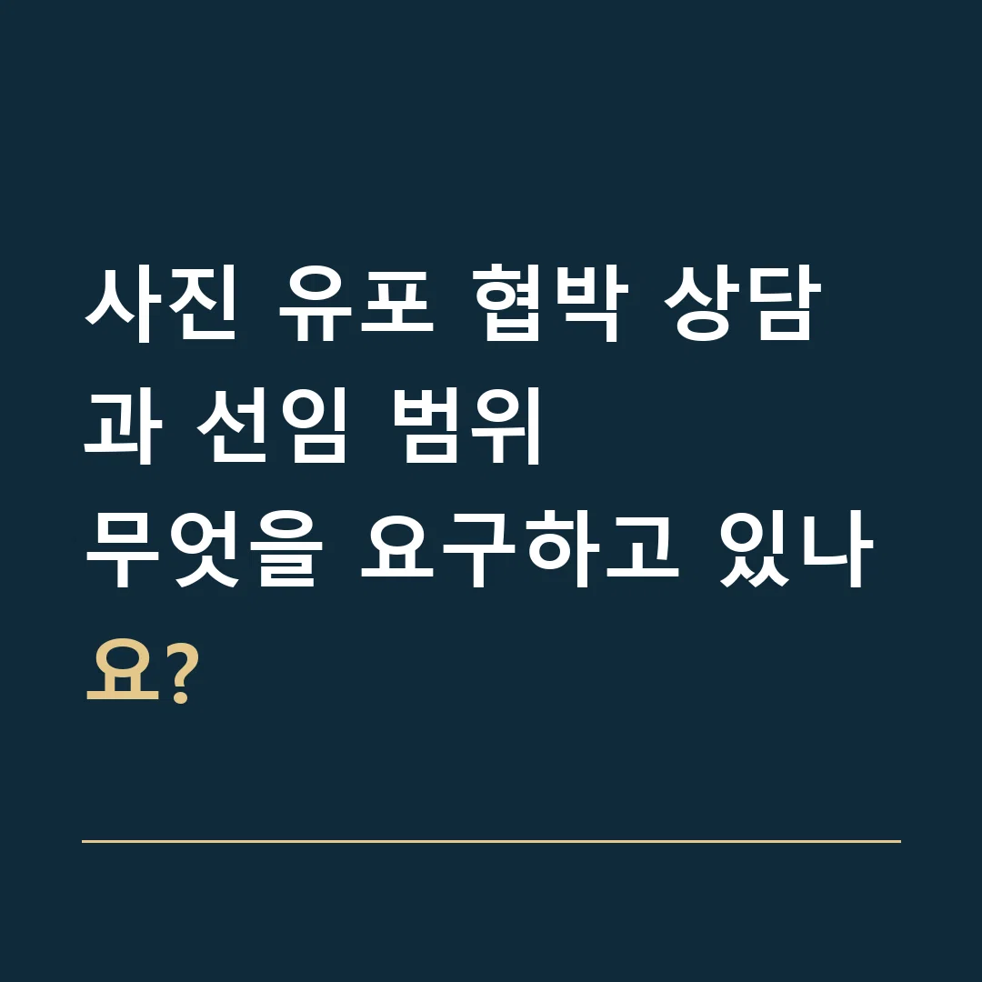 사진 유포 협박 상담과 선임 범위 · 무엇을 요구하고 있나요?