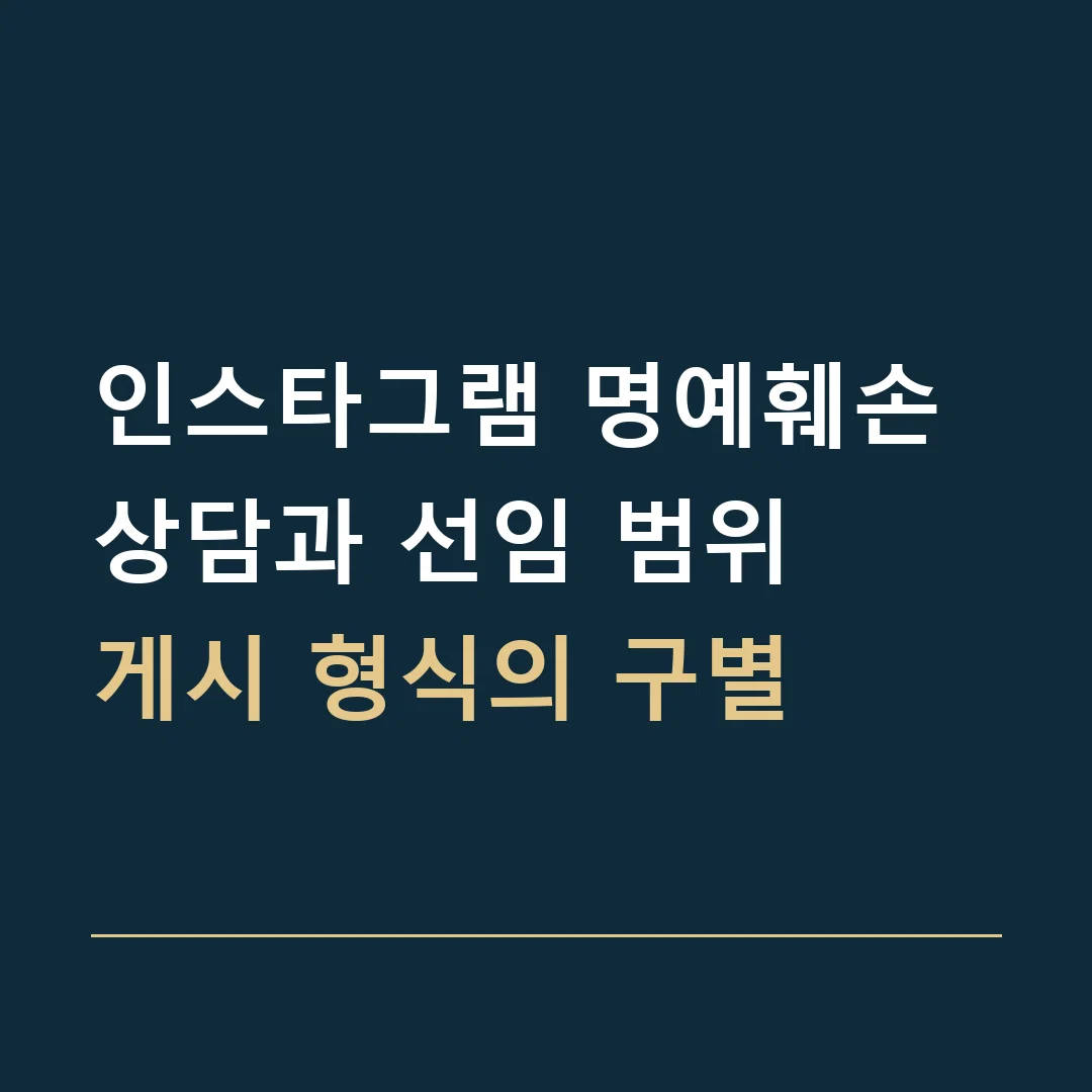 인스타그램 명예훼손 상담과 선임 범위 · 게시 형식의 구별