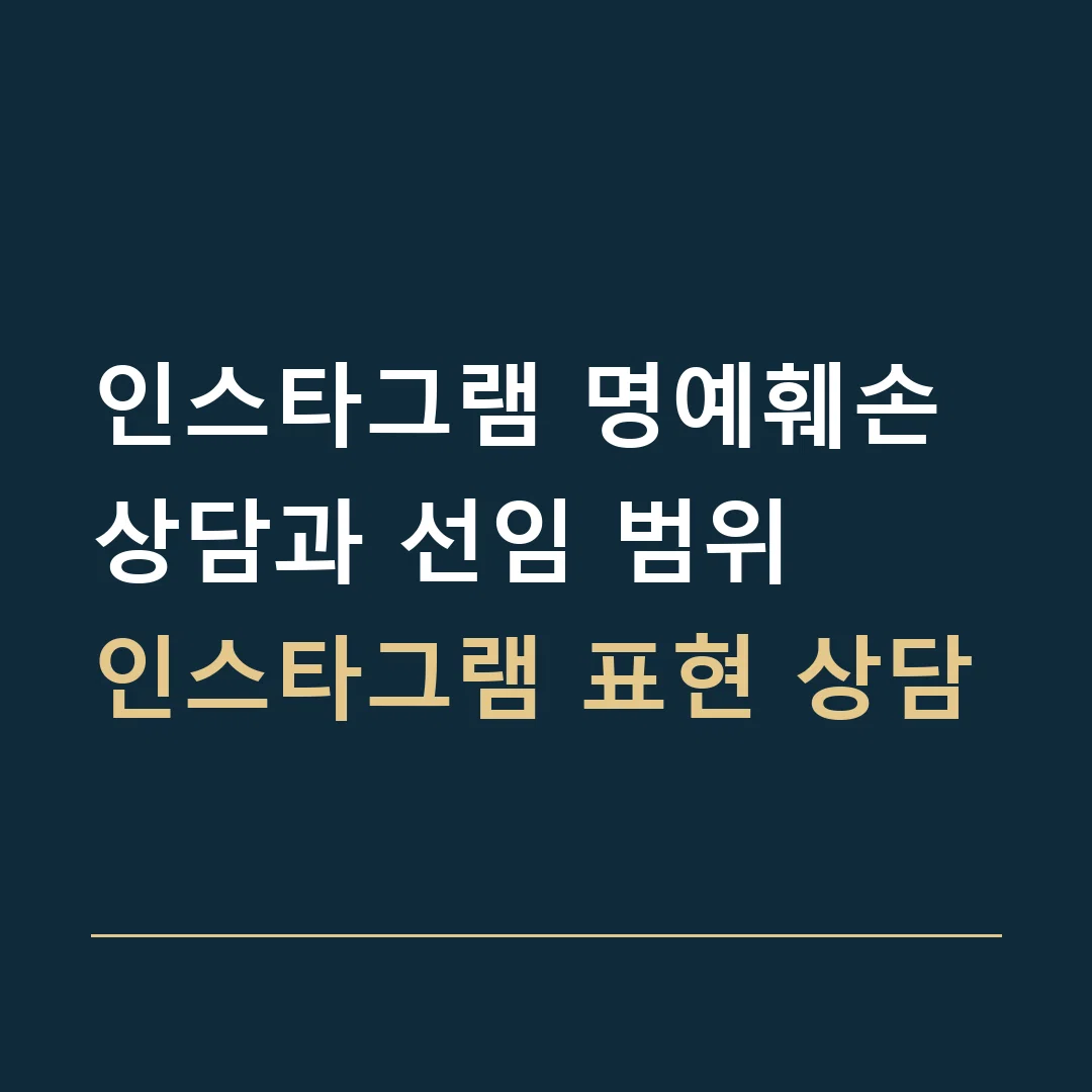 인스타그램 명예훼손 상담과 선임 범위 · 인스타그램 표현 상담