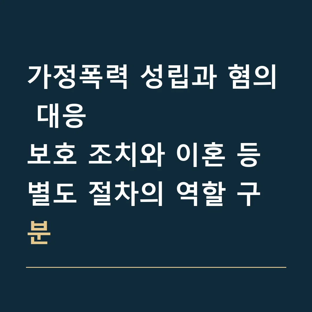 가정폭력 성립과 혐의 대응 · 보호 조치와 이혼 등 별도 절차의 역할 구분