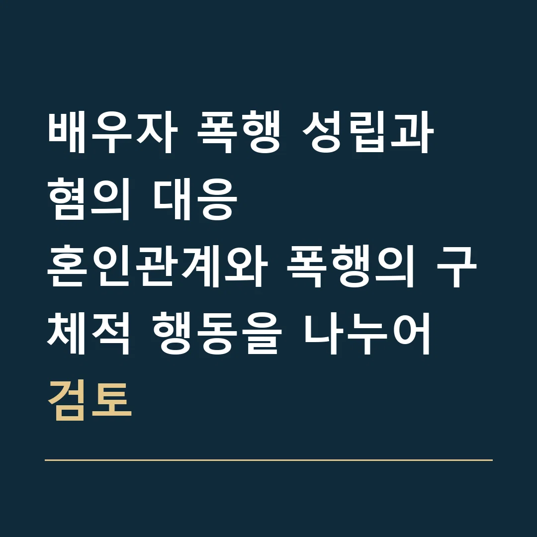 배우자 폭행 성립과 혐의 대응 · 혼인관계와 폭행의 구체적 행동을 나누어 검토
