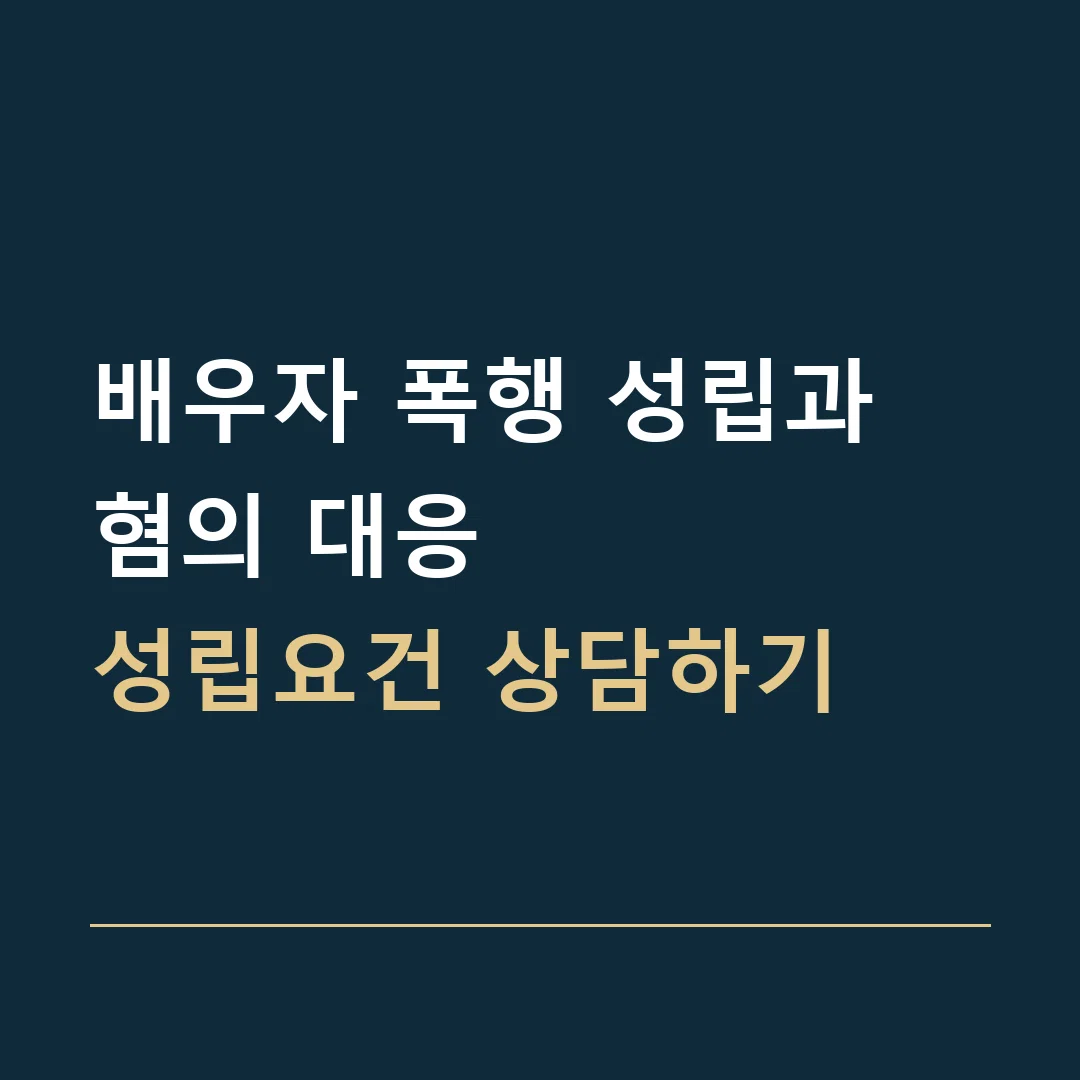 배우자 폭행 성립과 혐의 대응 · 성립요건 상담하기