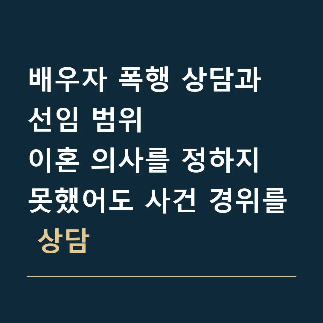 배우자 폭행 상담과 선임 범위 · 이혼 의사를 정하지 못했어도 사건 경위를 상담
