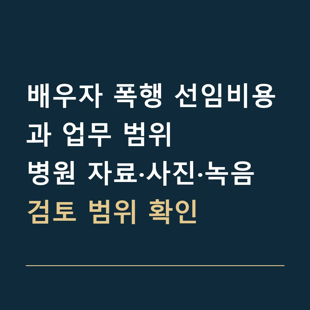배우자 폭행 선임비용과 업무 범위 · 병원 자료·사진·녹음 검토 범위 확인