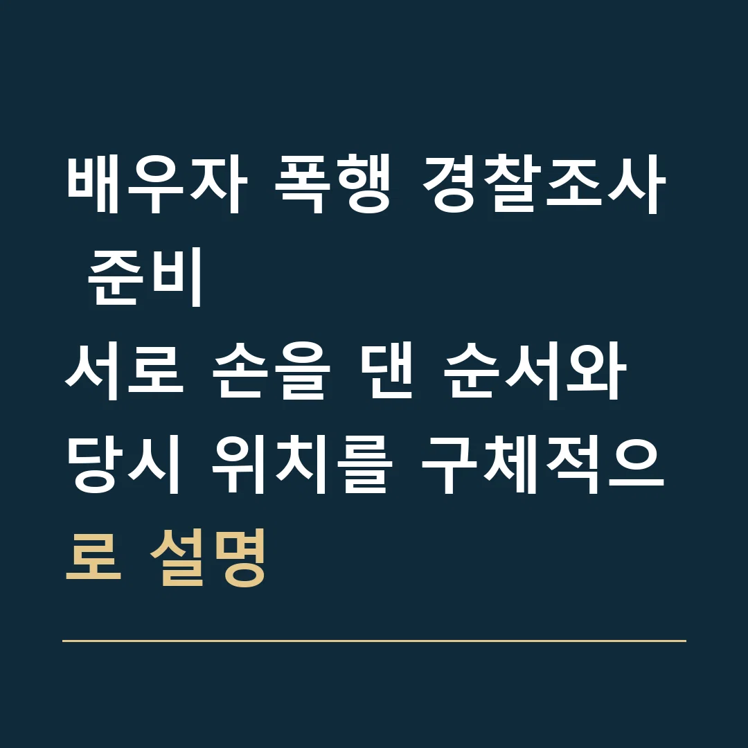 배우자 폭행 경찰조사 준비 · 서로 손을 댄 순서와 당시 위치를 구체적으로 설명