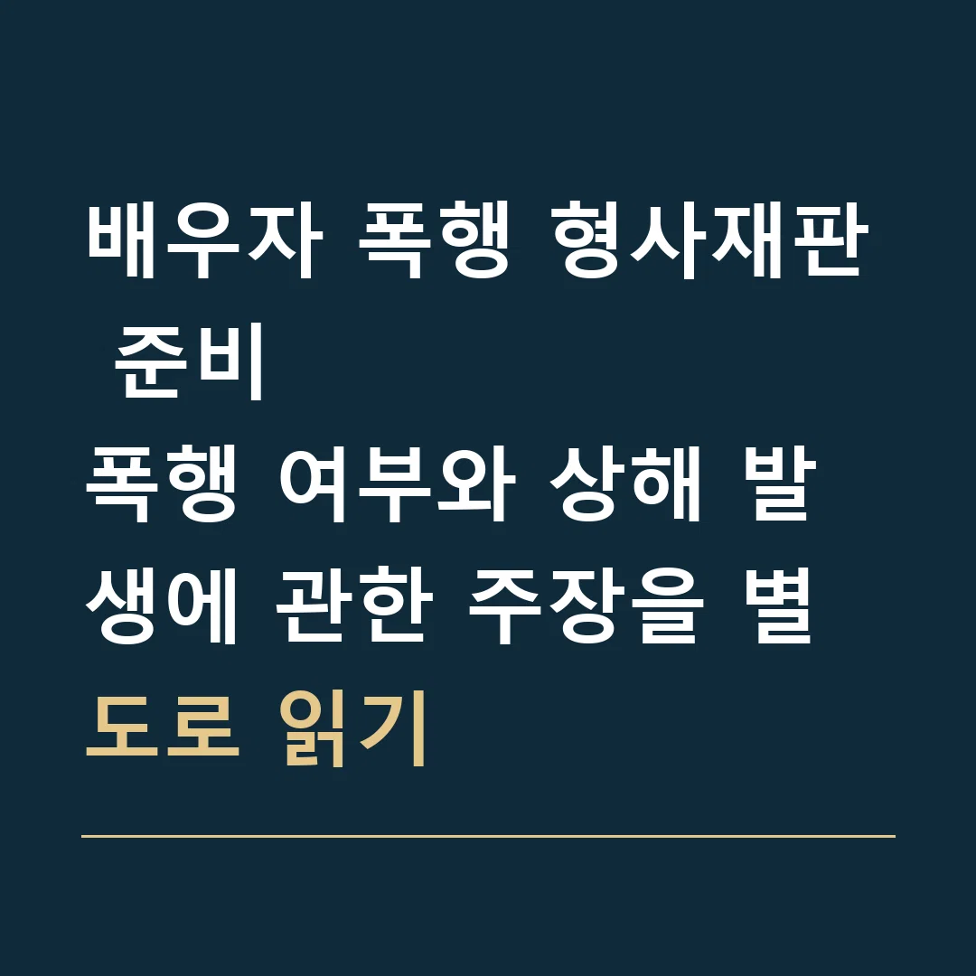 배우자 폭행 형사재판 준비 · 폭행 여부와 상해 발생에 관한 주장을 별도로 읽기