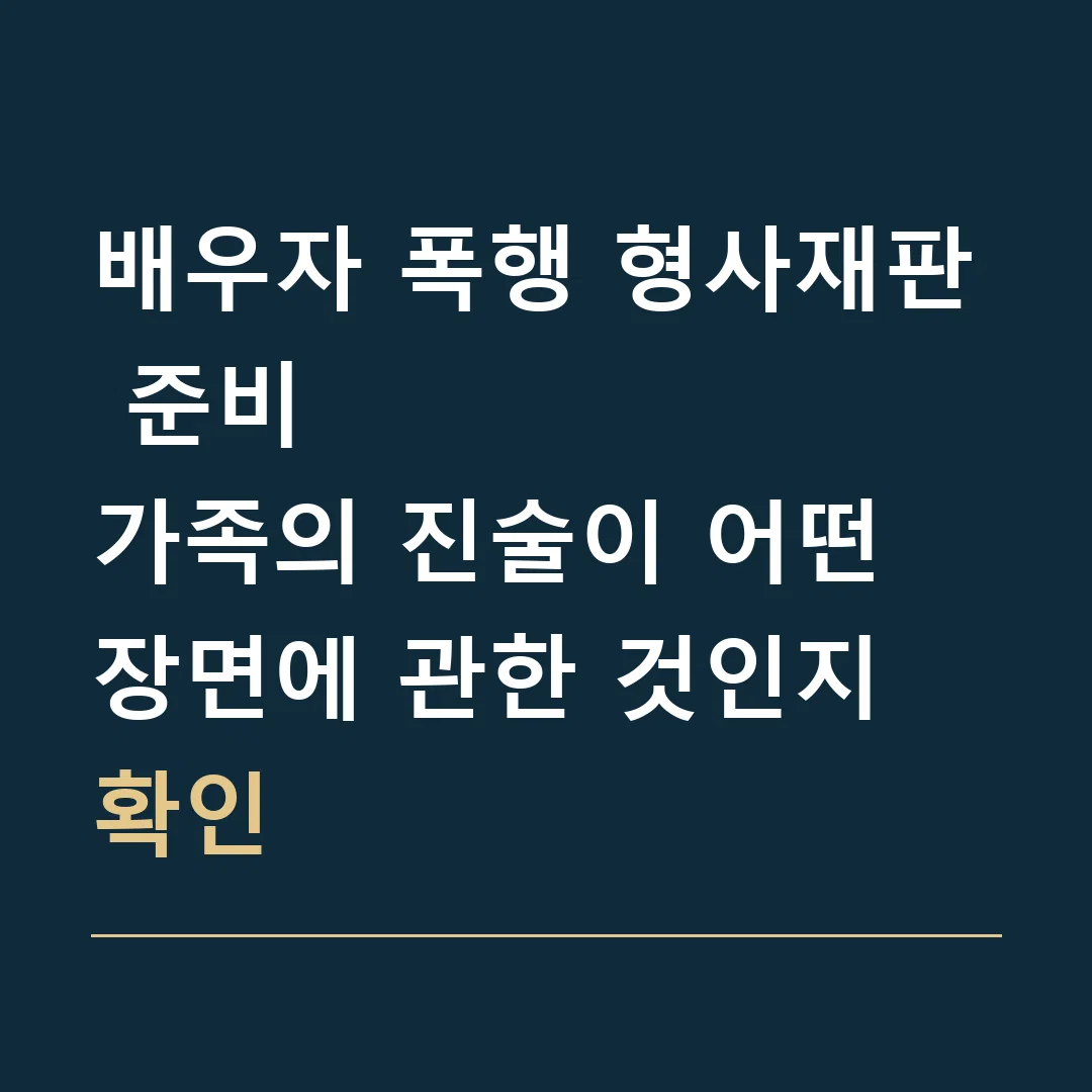 배우자 폭행 형사재판 준비 · 가족의 진술이 어떤 장면에 관한 것인지 확인