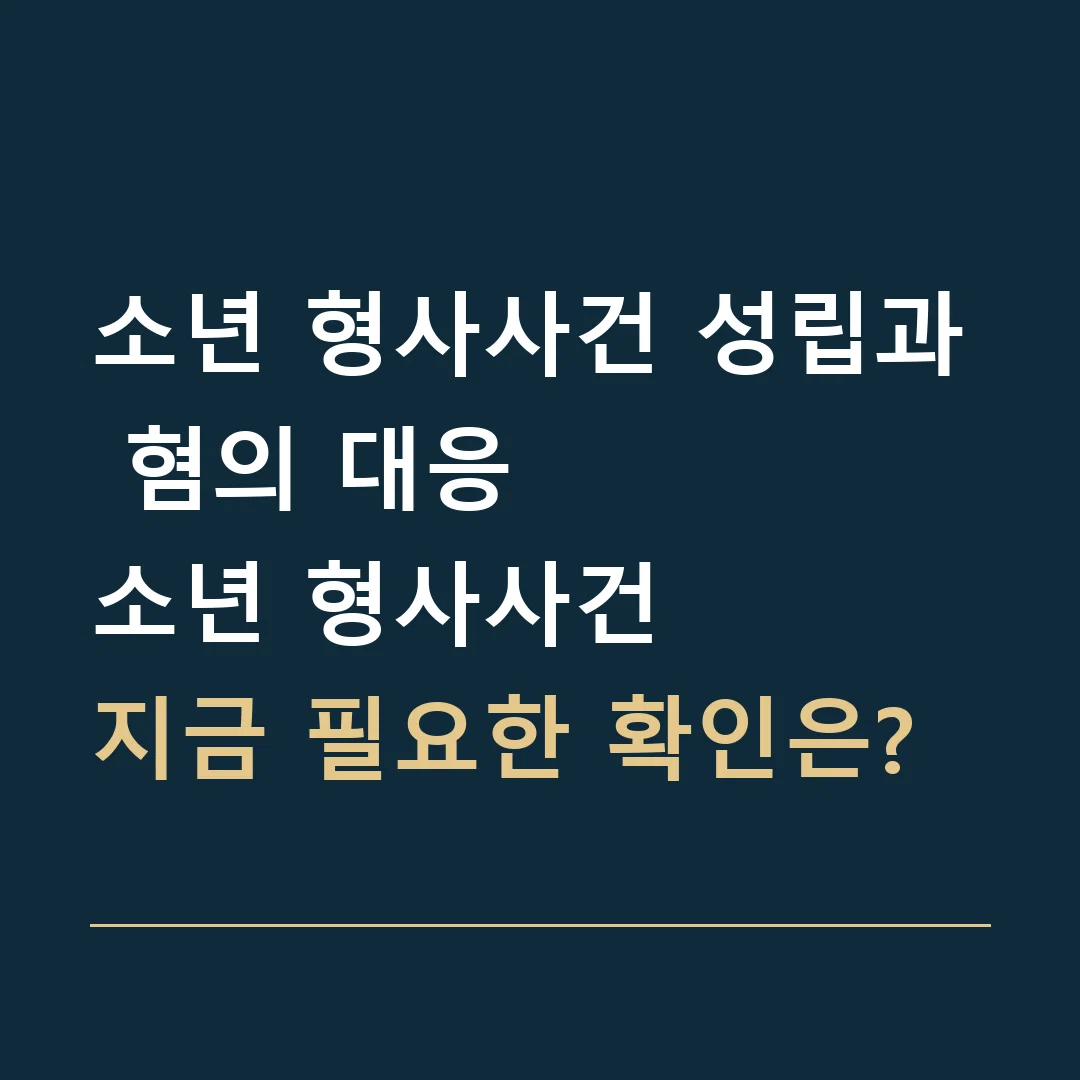 소년 형사사건 성립과 혐의 대응 · 소년 형사사건
지금 필요한 확인은?
