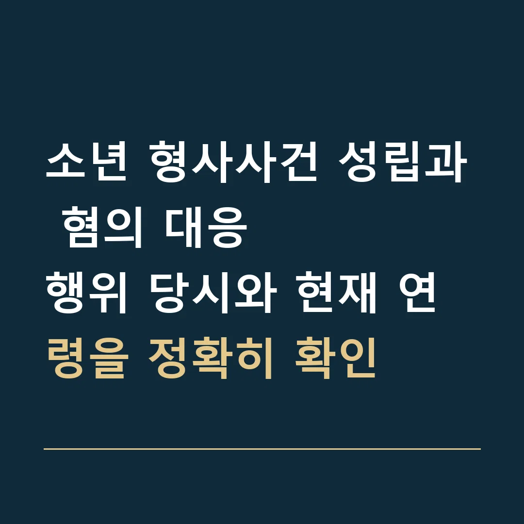 소년 형사사건 성립과 혐의 대응 · 행위 당시와 현재 연령을 정확히 확인