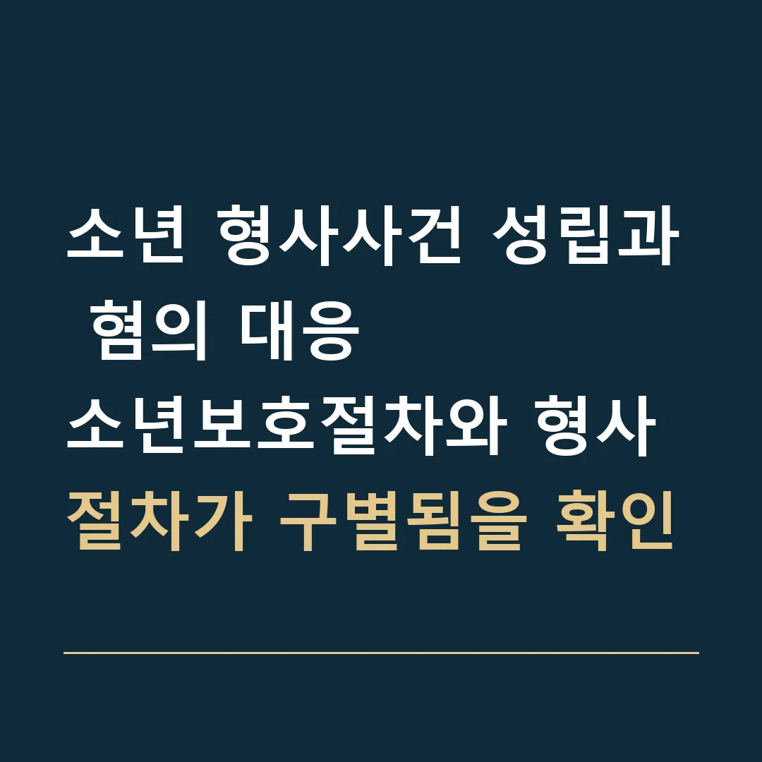 소년 형사사건 성립과 혐의 대응 · 소년보호절차와 형사절차가 구별됨을 확인