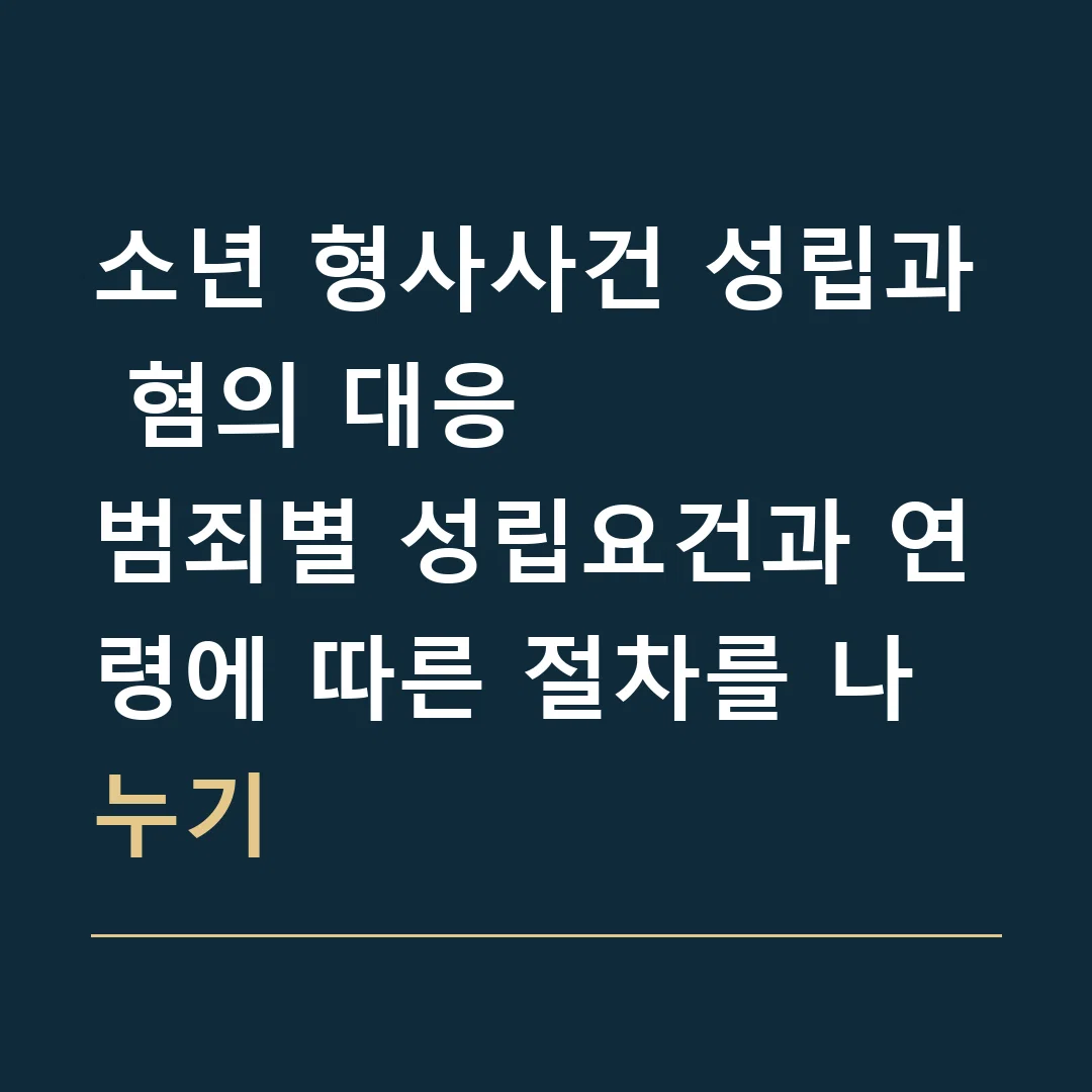 소년 형사사건 성립과 혐의 대응 · 범죄별 성립요건과 연령에 따른 절차를 나누기