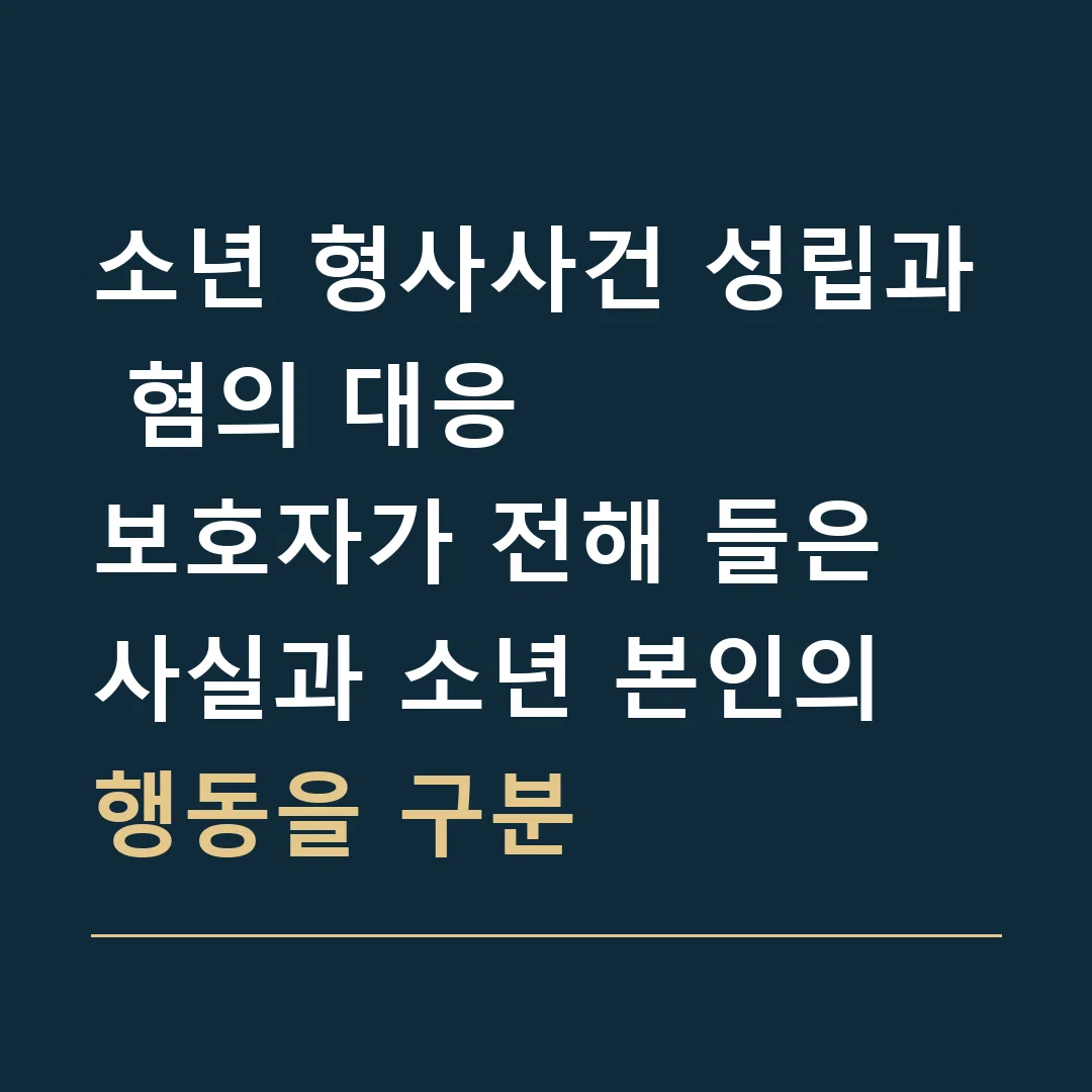 소년 형사사건 성립과 혐의 대응 · 보호자가 전해 들은 사실과 소년 본인의 행동을 구분