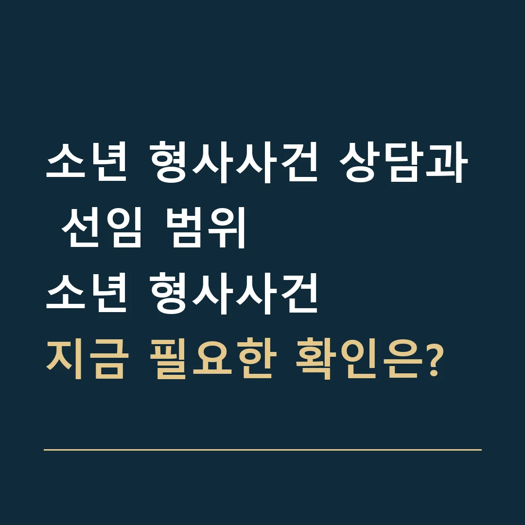 소년 형사사건 상담과 선임 범위 · 소년 형사사건
지금 필요한 확인은?