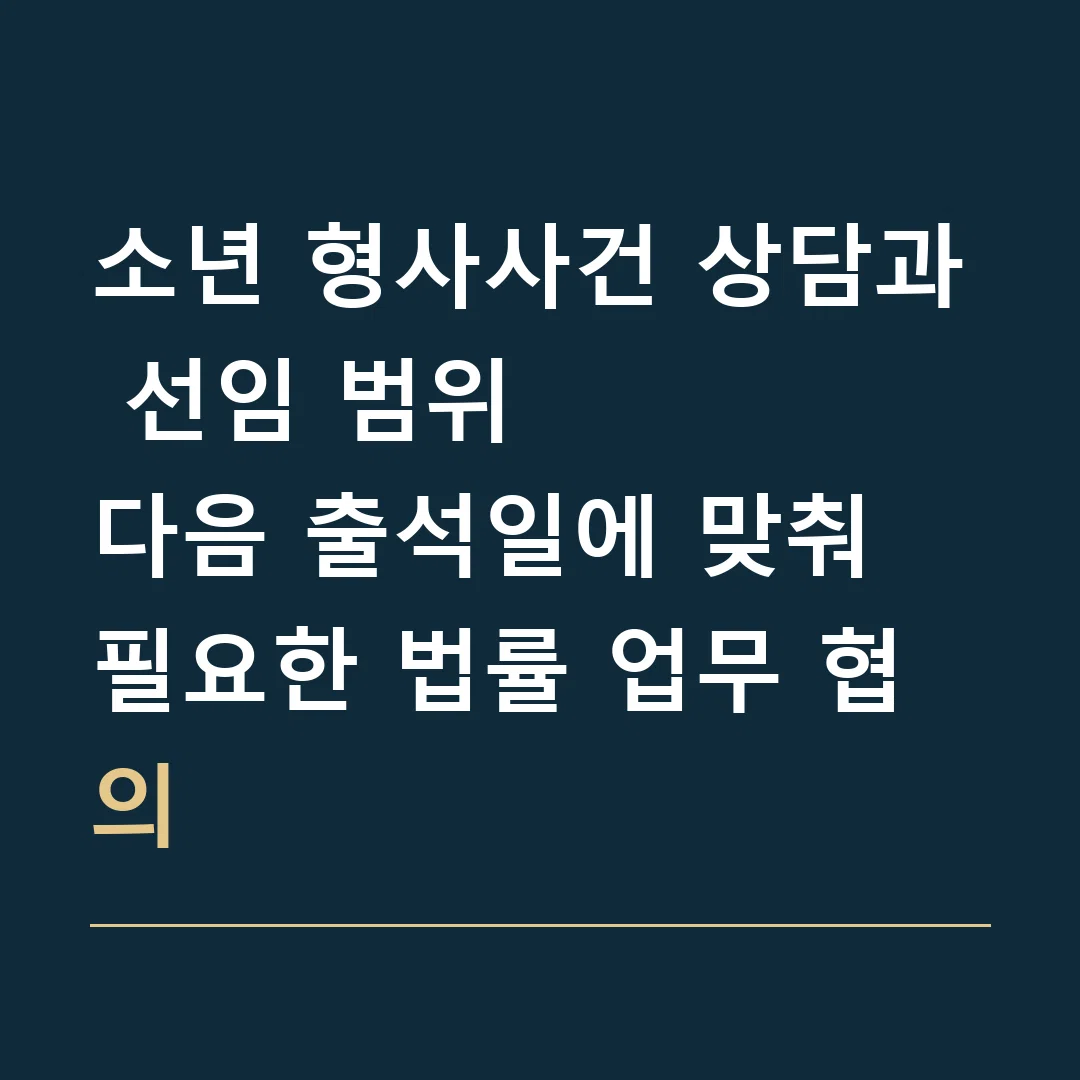 소년 형사사건 상담과 선임 범위 · 다음 출석일에 맞춰 필요한 법률 업무 협의