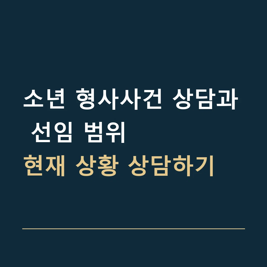 소년 형사사건 상담과 선임 범위 · 현재 상황 상담하기