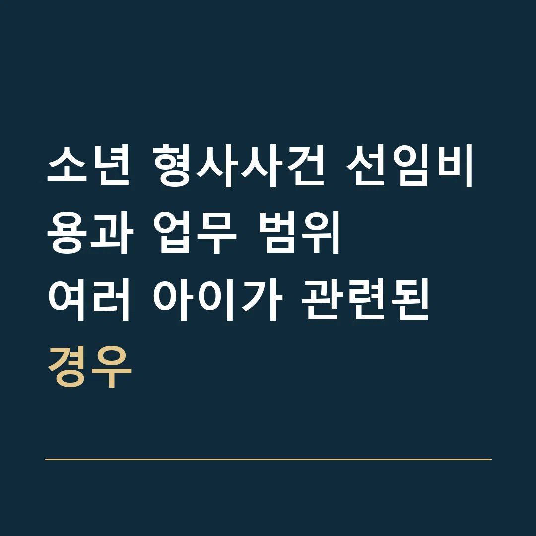 소년 형사사건 선임비용과 업무 범위 · 여러 아이가 관련된 경우