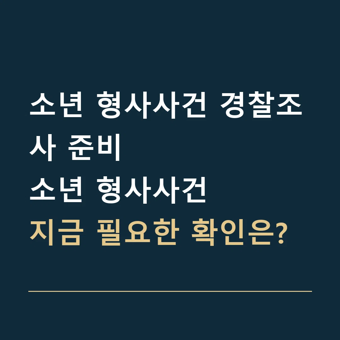 소년 형사사건 경찰조사 준비 · 소년 형사사건
지금 필요한 확인은?