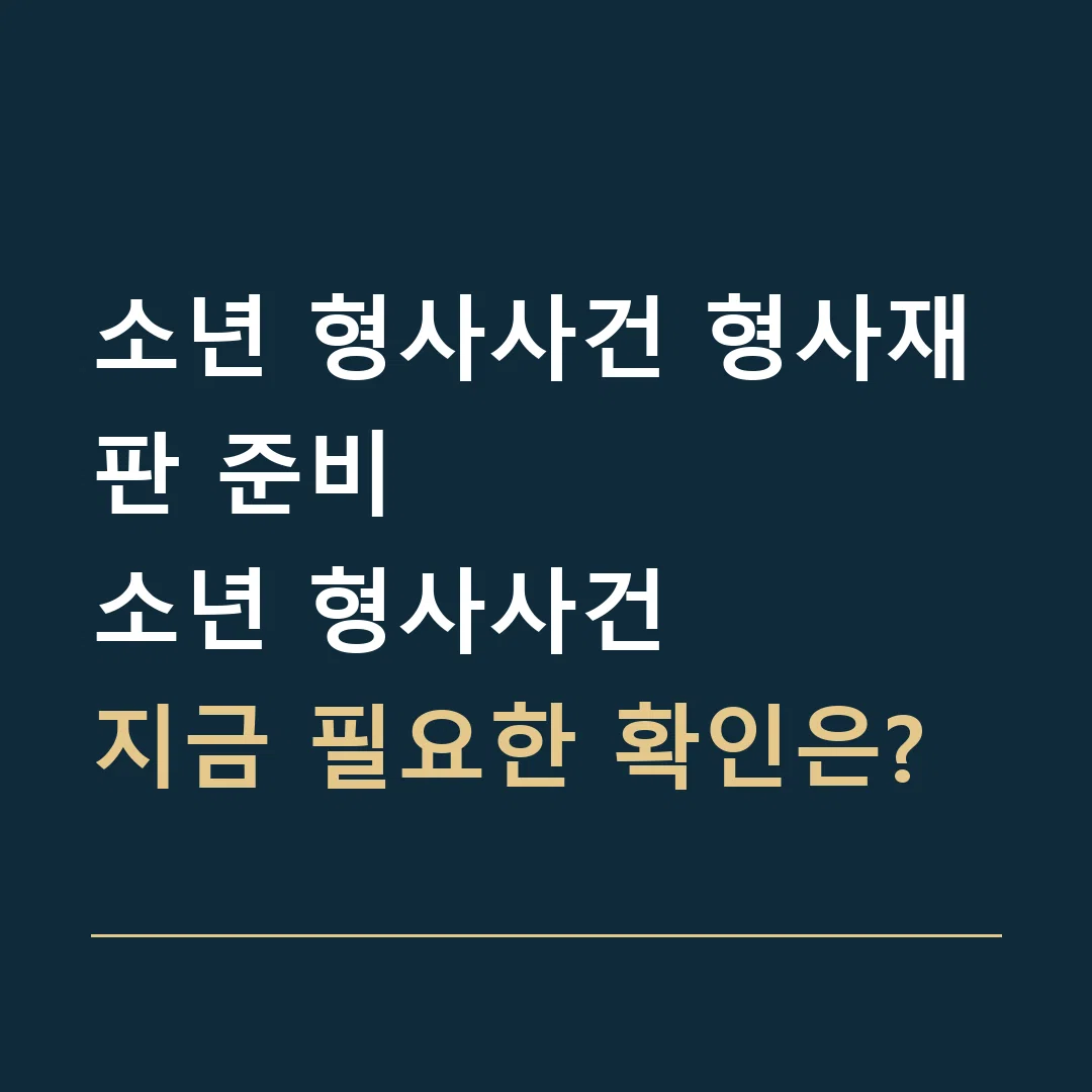 소년 형사사건 형사재판 준비 · 소년 형사사건
지금 필요한 확인은?