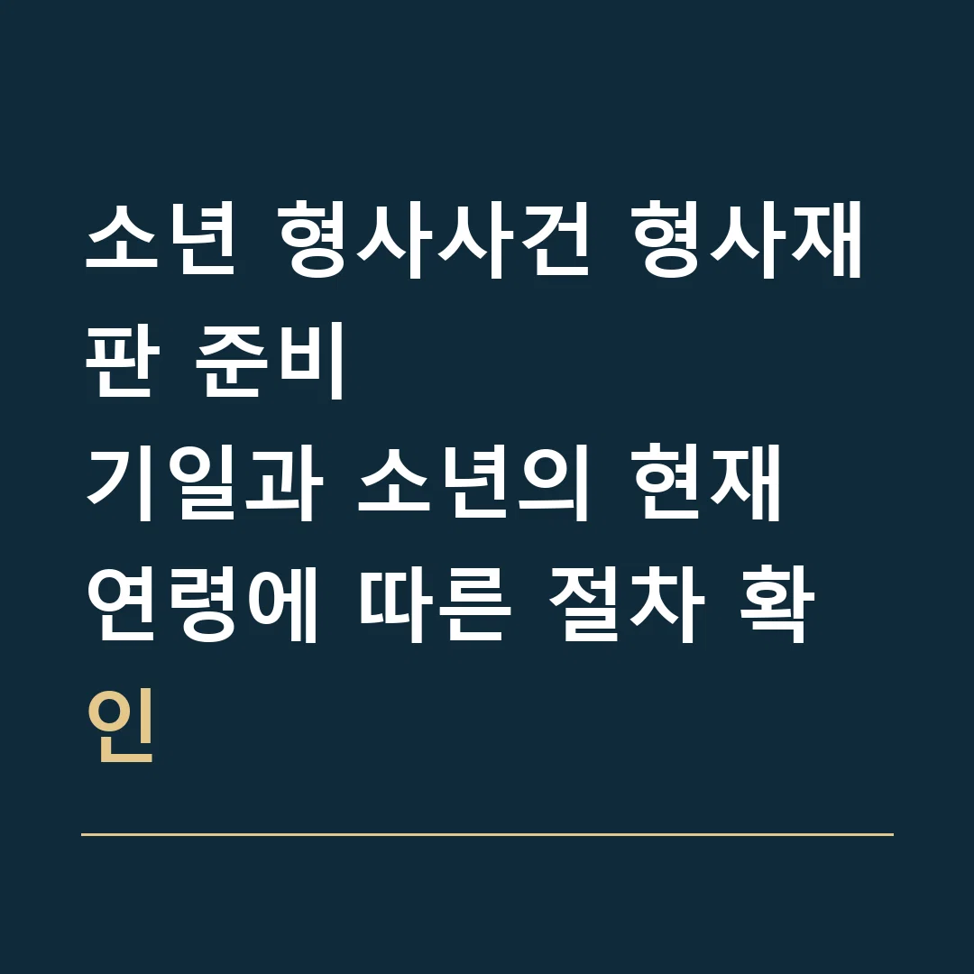소년 형사사건 형사재판 준비 · 기일과 소년의 현재 연령에 따른 절차 확인