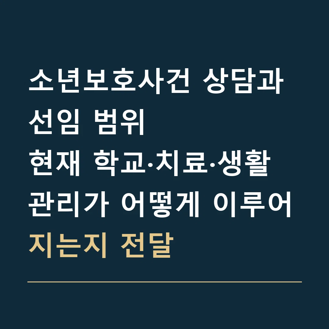 소년보호사건 상담과 선임 범위 · 현재 학교·치료·생활 관리가 어떻게 이루어지는지 전달
