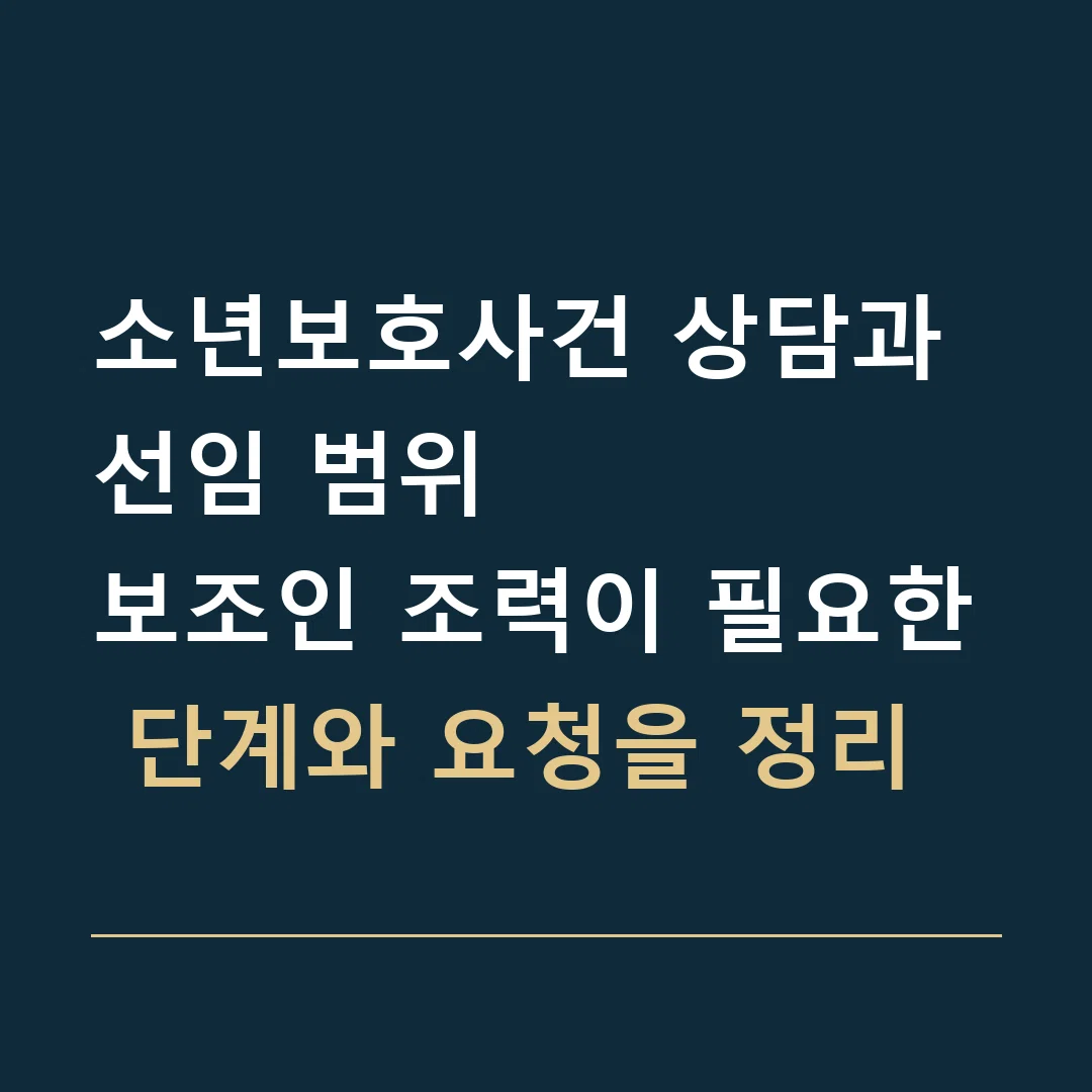 소년보호사건 상담과 선임 범위 · 보조인 조력이 필요한 단계와 요청을 정리