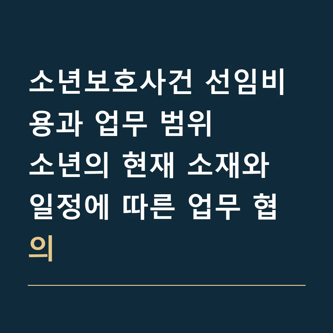 소년보호사건 선임비용과 업무 범위 · 소년의 현재 소재와 일정에 따른 업무 협의