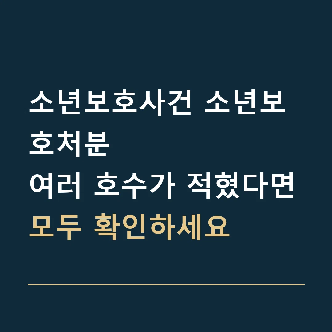 소년보호사건 소년보호처분 · 여러 호수가 적혔다면
모두 확인하세요