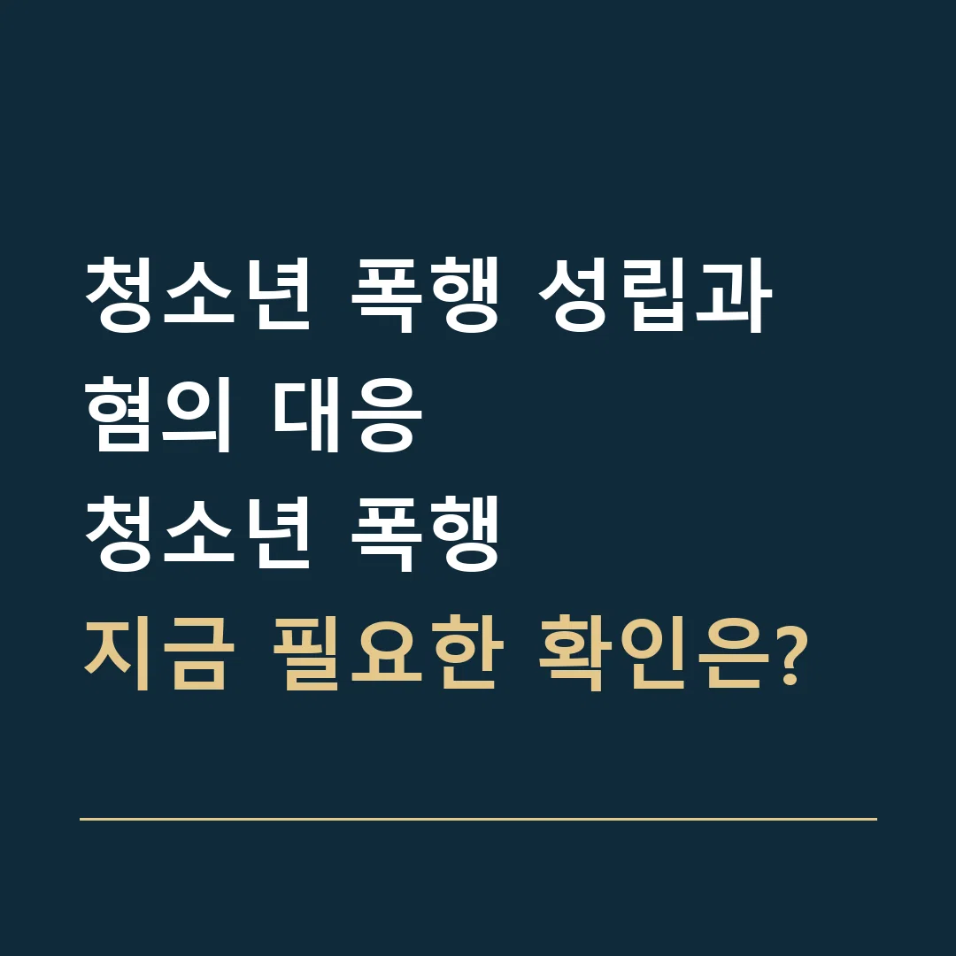 청소년 폭행 성립과 혐의 대응 · 청소년 폭행
지금 필요한 확인은?