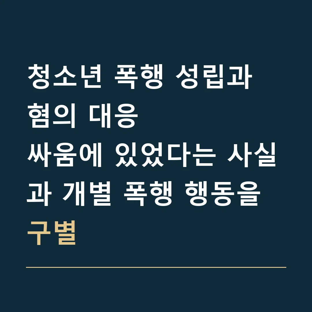 청소년 폭행 성립과 혐의 대응 · 싸움에 있었다는 사실과 개별 폭행 행동을 구별