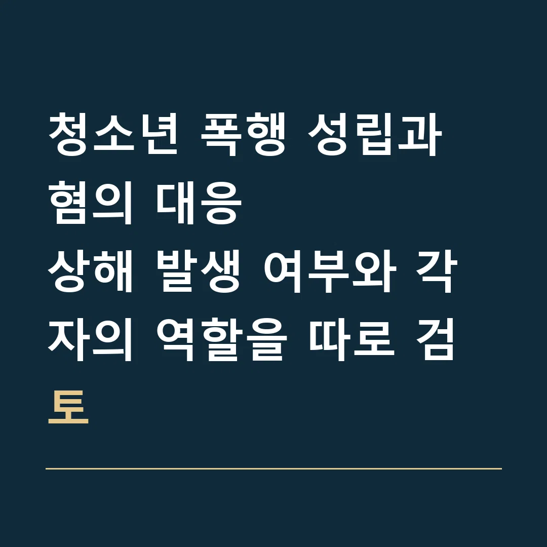 청소년 폭행 성립과 혐의 대응 · 상해 발생 여부와 각자의 역할을 따로 검토
